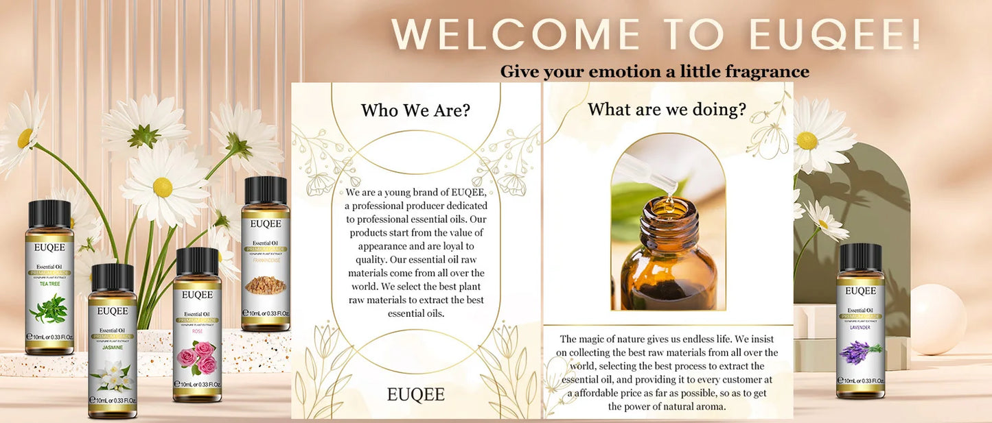 Huile Parfumée OniZen™ – Essence Naturelle pour Diffuseur (10ml)