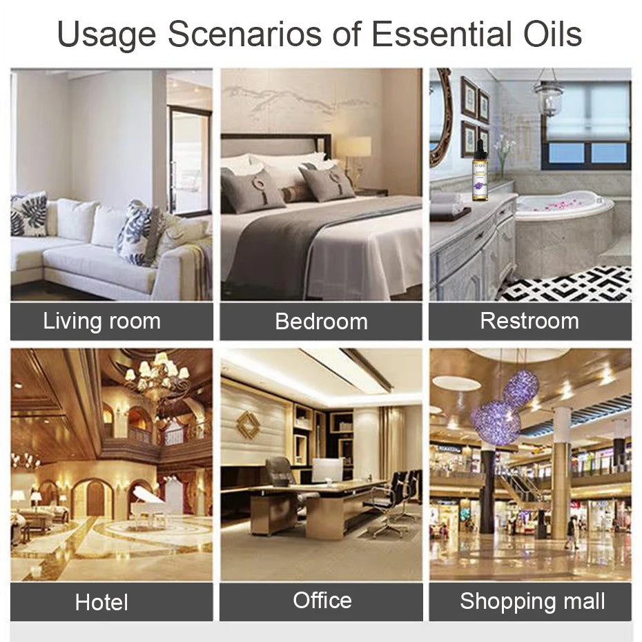 Huile Parfumée OniZen™ – Essence Naturelle pour Diffuseur (10ml)