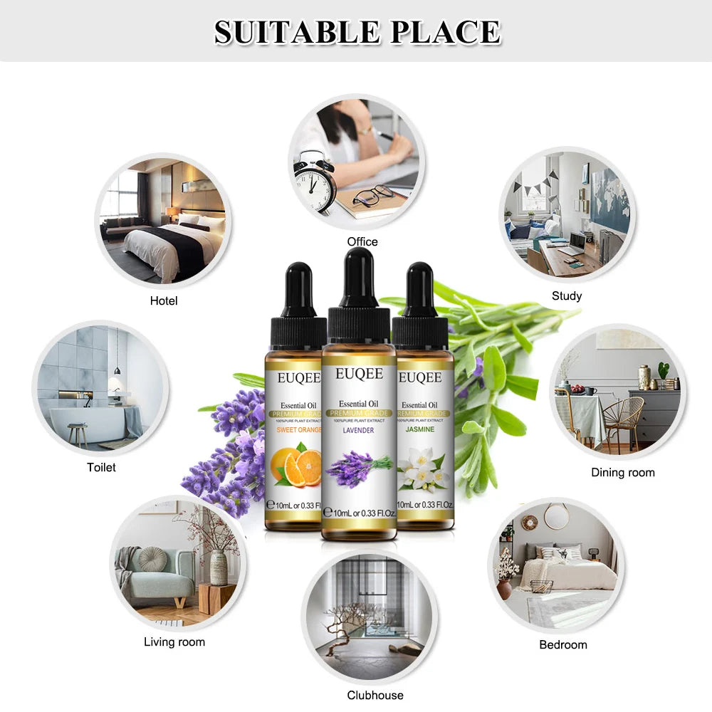 Huile Parfumée OniZen™ – Essence Naturelle pour Diffuseur (10ml)